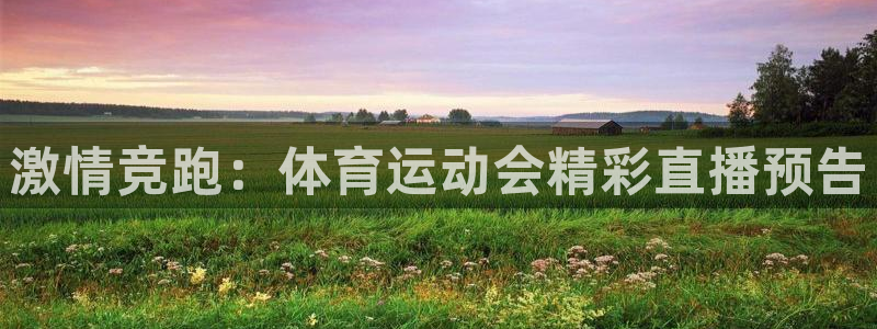 利记官网下载招商电话号码是多少啊:激情竞跑:体育运动会精彩直