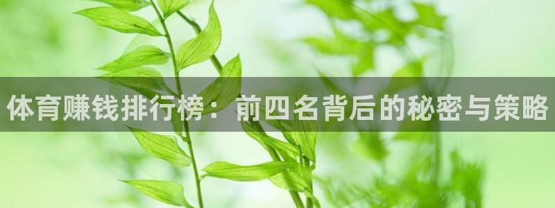 利记官网下载招商电话地址是多少:体育赚钱排行榜:前四名背后的