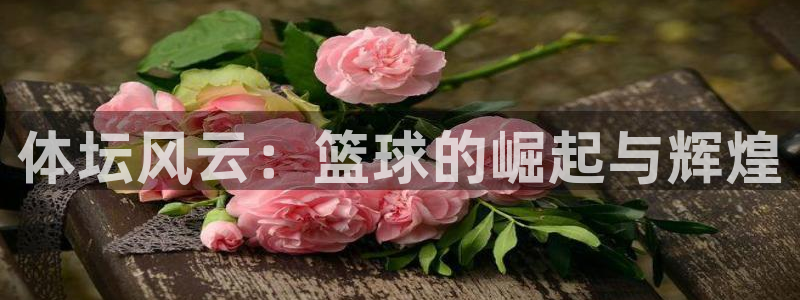 利记官网下载招商电话号码是多少啊:体坛风云:篮球的崛起与辉煌