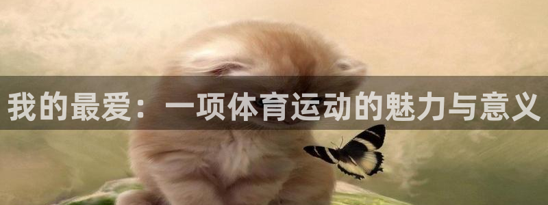 利记官网下载招商电话地址是多少:我的最爱:一项体育运动的魅力