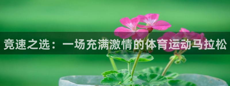 利记官方正版app集团E.ON:竞速之选:一场充满激情的体育